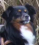 KAYANA
